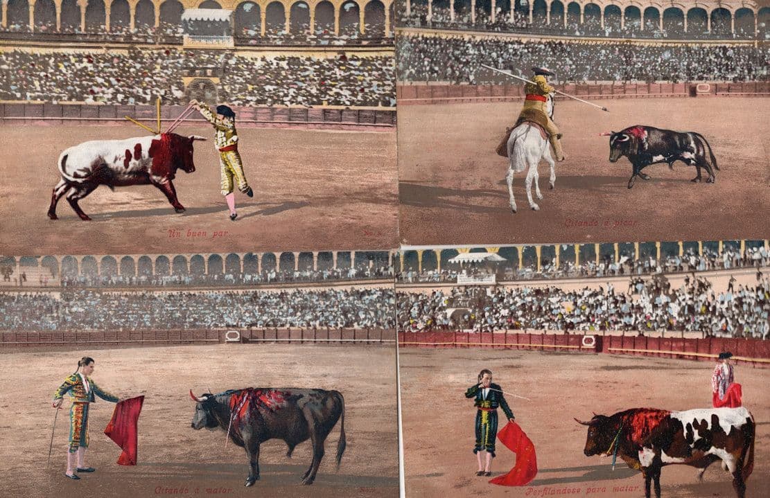 Bulls Covered In Blood 4x Vintage Gory Spanish Bullfighting Postcard s