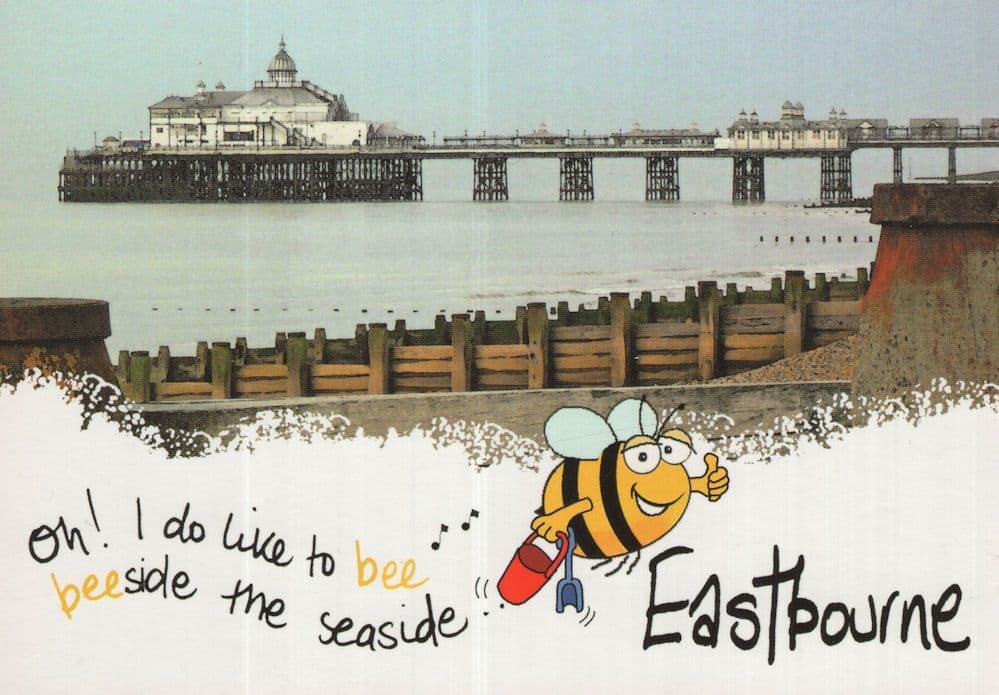 Bumble Bee At Eastbourne Rare Sussex Bees Comic Postcard