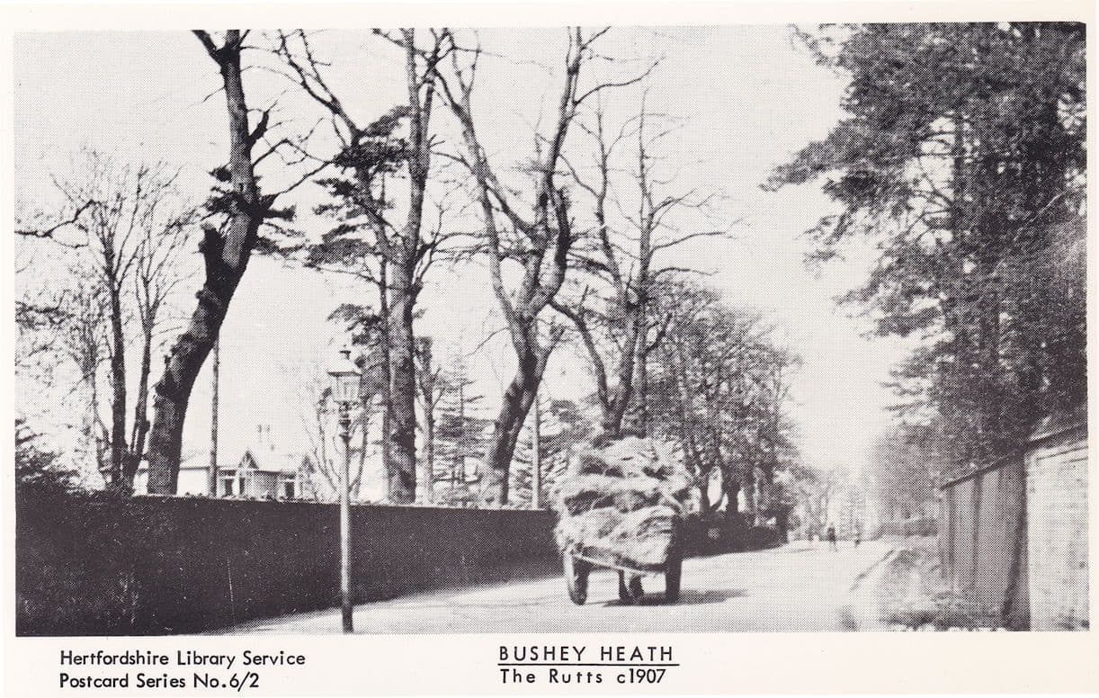 Bushey Heath The Rutts in 1907 Transport Herts Postcard