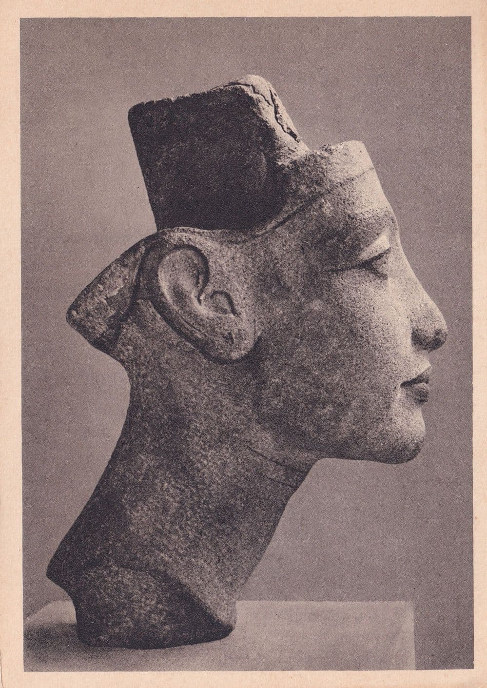 Bust Of Brauner Sandstein Berlin Museum German Postcard