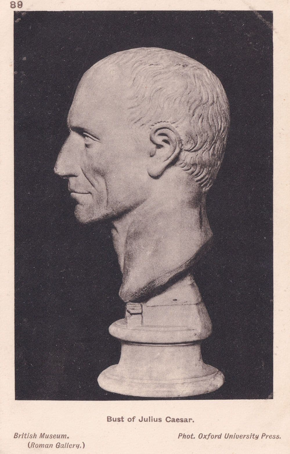 Bust Of Julius Caesar Antique Roman Sculpture Postcard