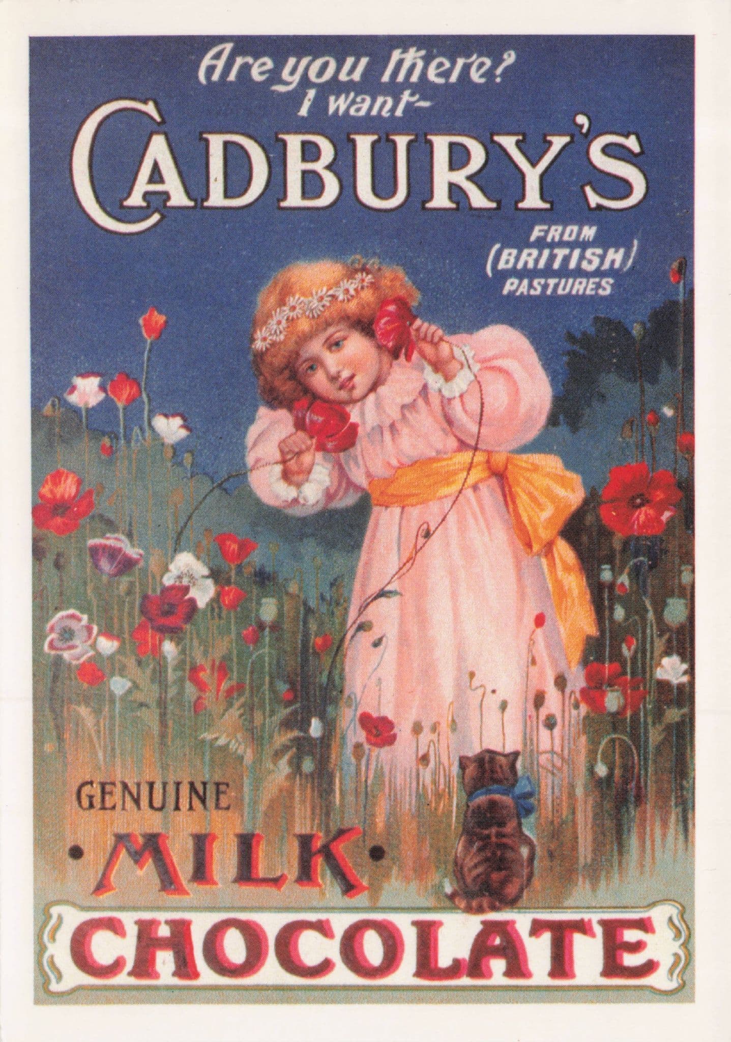 Cadbury's Milk Chocolate Christopher Columbus History Postcard