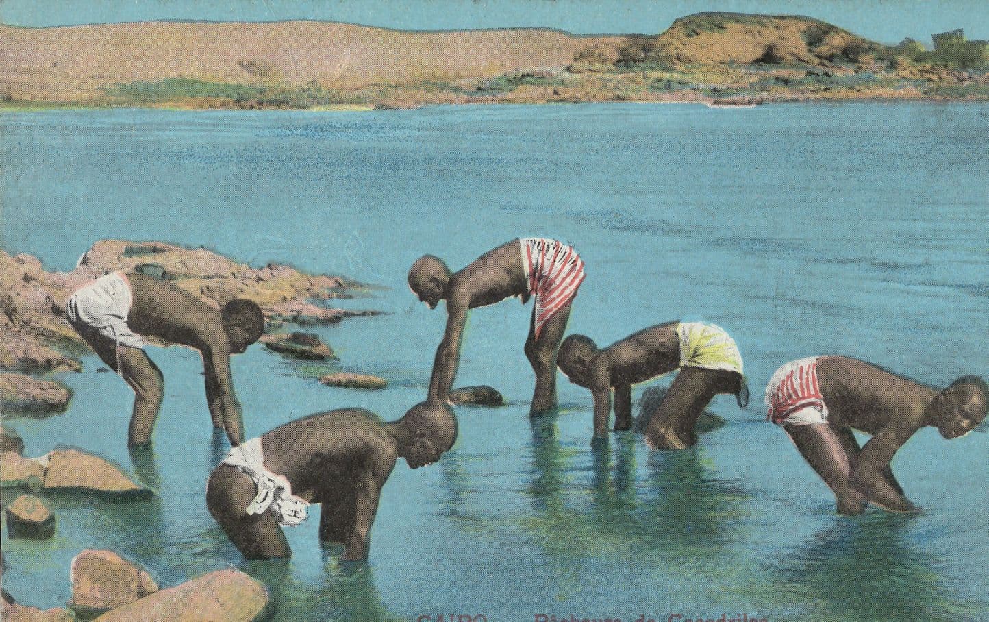 Cairo Crocodile Catchers Antique Egyptian Postcard