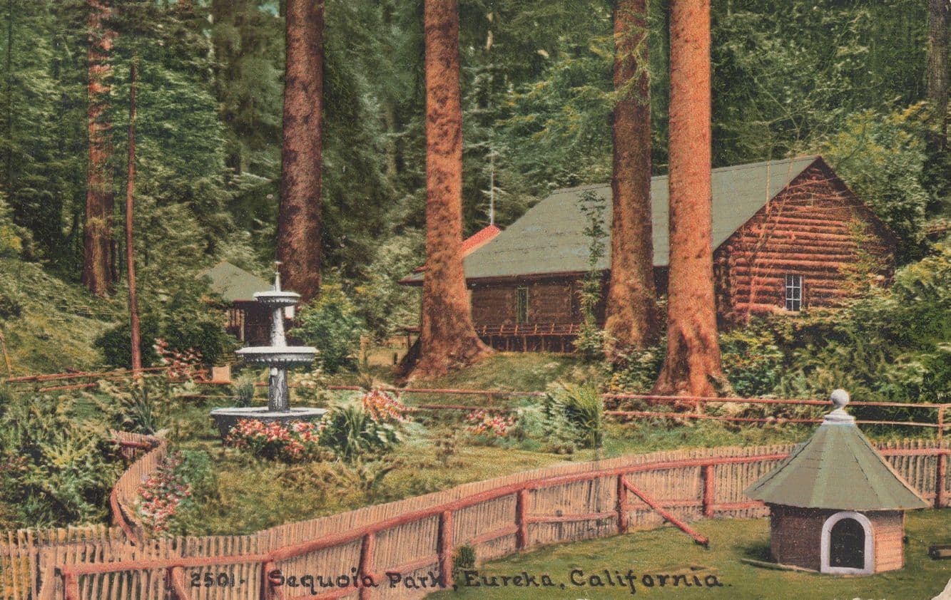 California Eureka Sequoia Park USA Rare Postcard