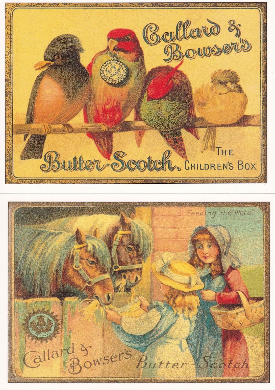 Callard & Bowsers Butterscotch Horse Budgie 2x Advertising Postcard s