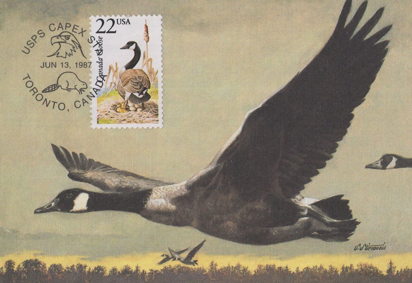 Canada Goose Canadian Canada Bird 1987 First Day Cover Postcard