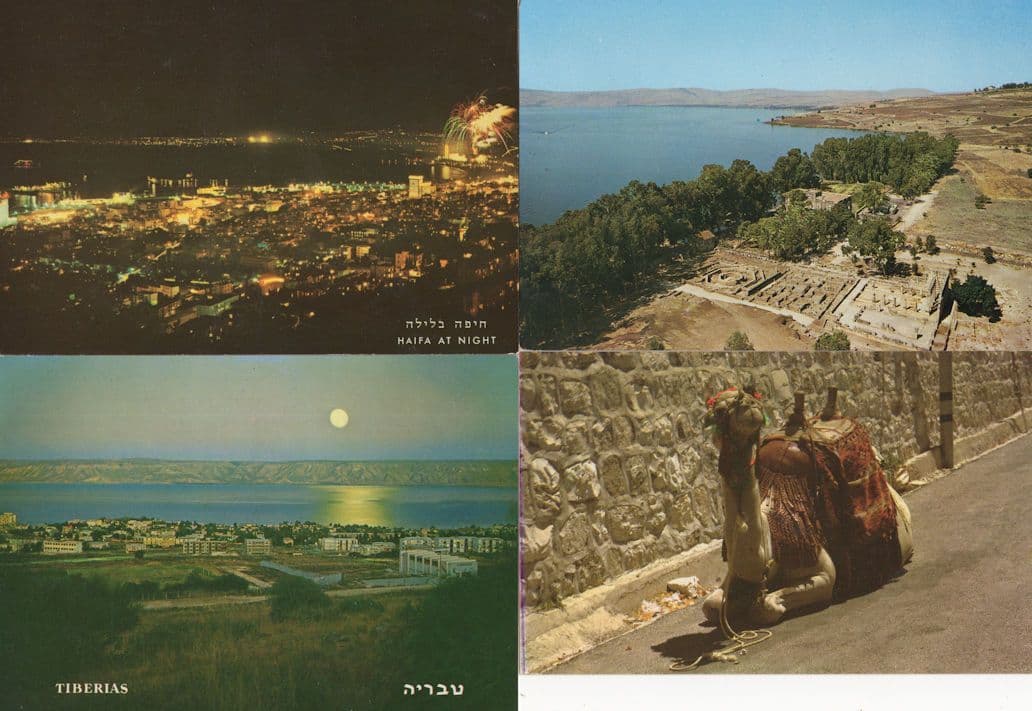 Capharnaum Tiberias Camel Haifa 4x Israel Postcard s