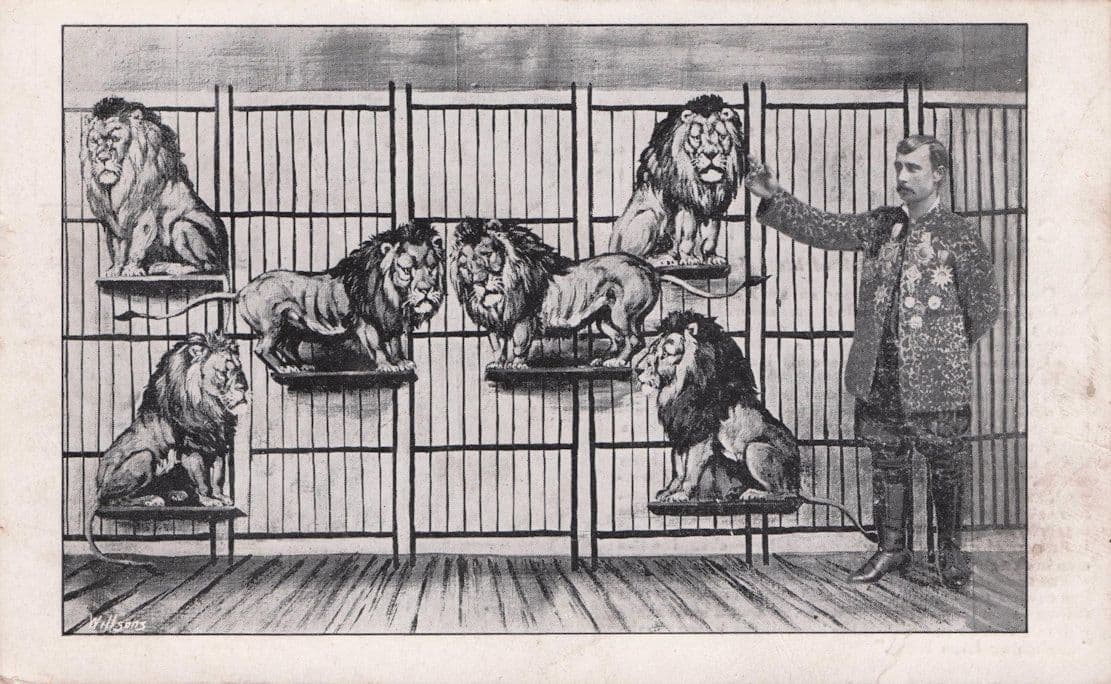 Captain Alphonzo Welsh Lion King Animal Trainer Disaster Old Postcard