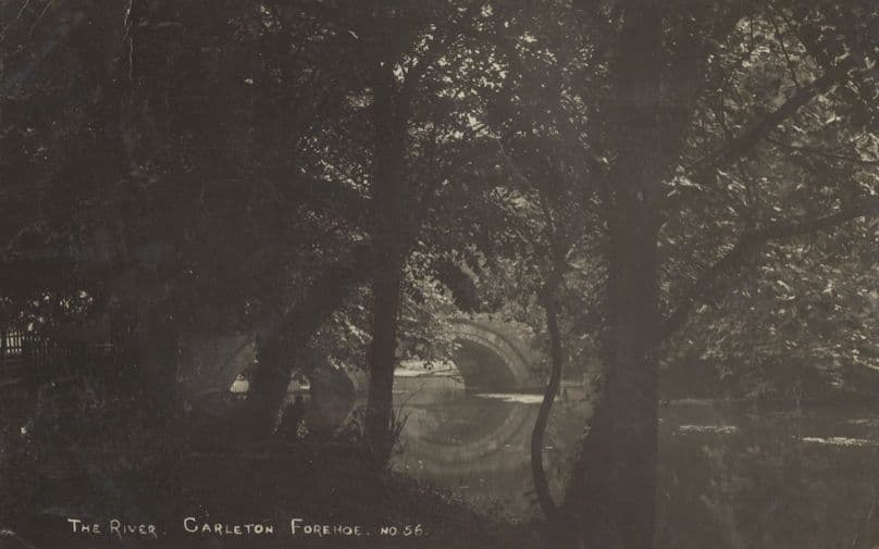 Carleton Forehoe Norfolk Village River Worn RPC Old Postcard