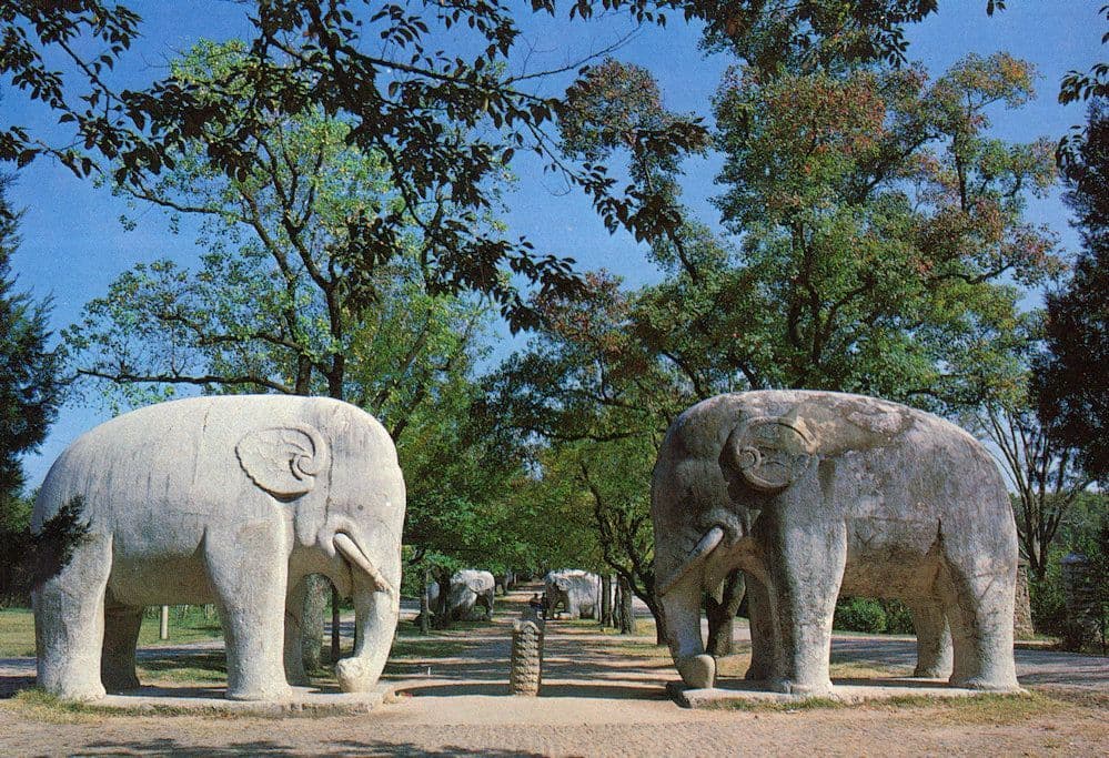 Carved Stones Of The Ming Tomb Elephant Chinese Statue Nanjing Postcard