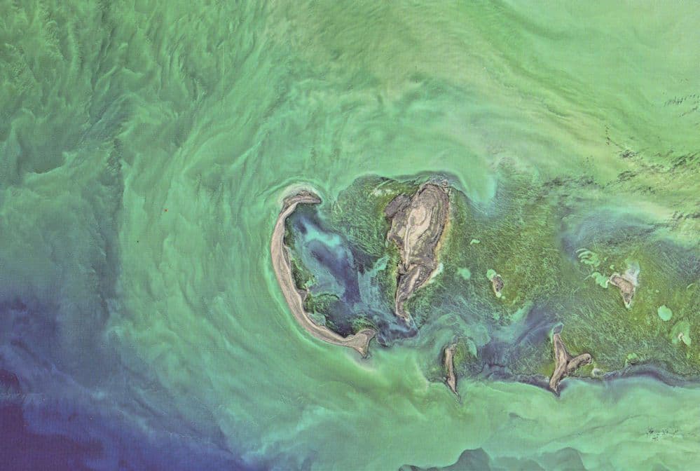 Caspian Sea Space Lines Photo Astronomy Tuyleniy Archipelago Postcard