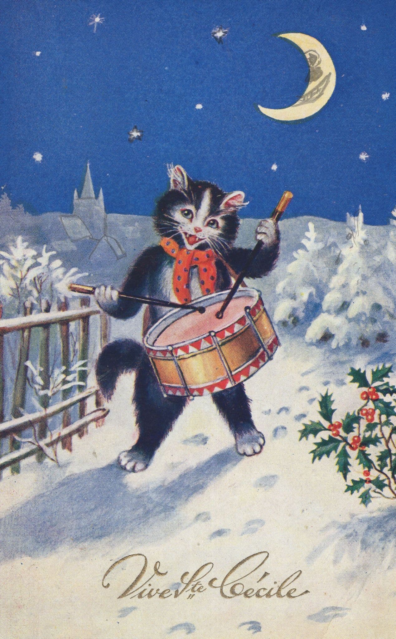 Cat Drummer Musician Man In The Moon Face Old Comic Postcard