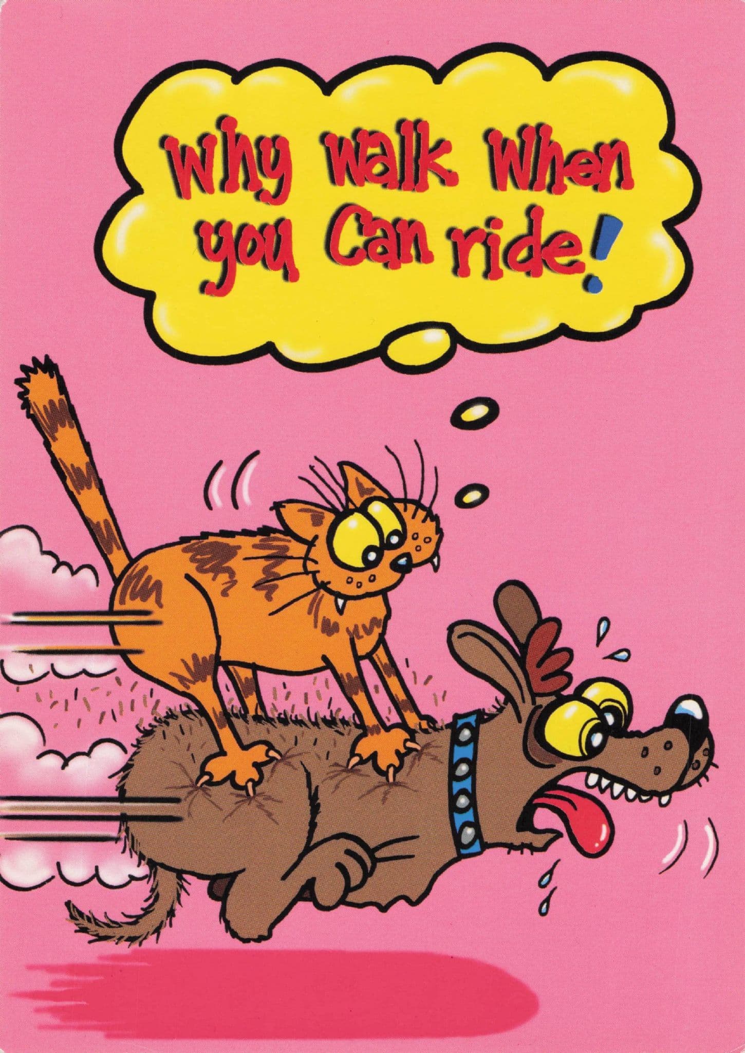 Cat Riding On Dogs Back Flying Comic Wacky Races Type Postcard