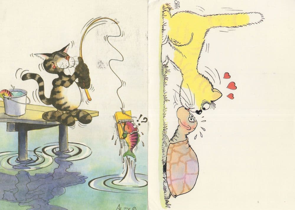 Cat Romancing Tortoise Kissing Fishing 2x German Comic Postcard