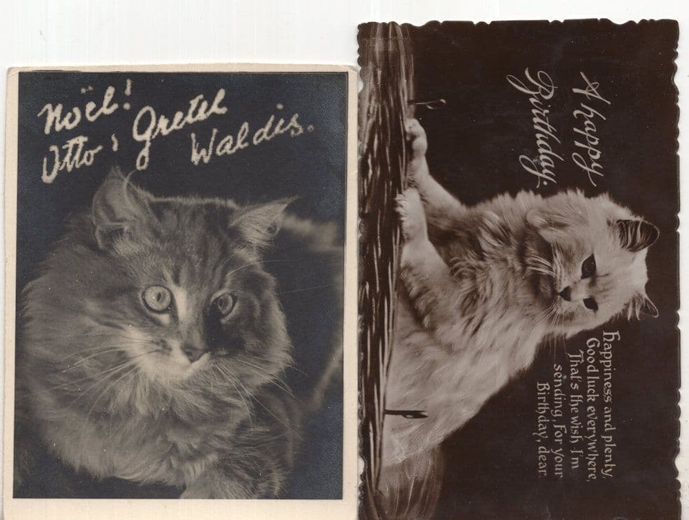 Cat Saying Otto Waldis Movie Star Antique Card & Postcard