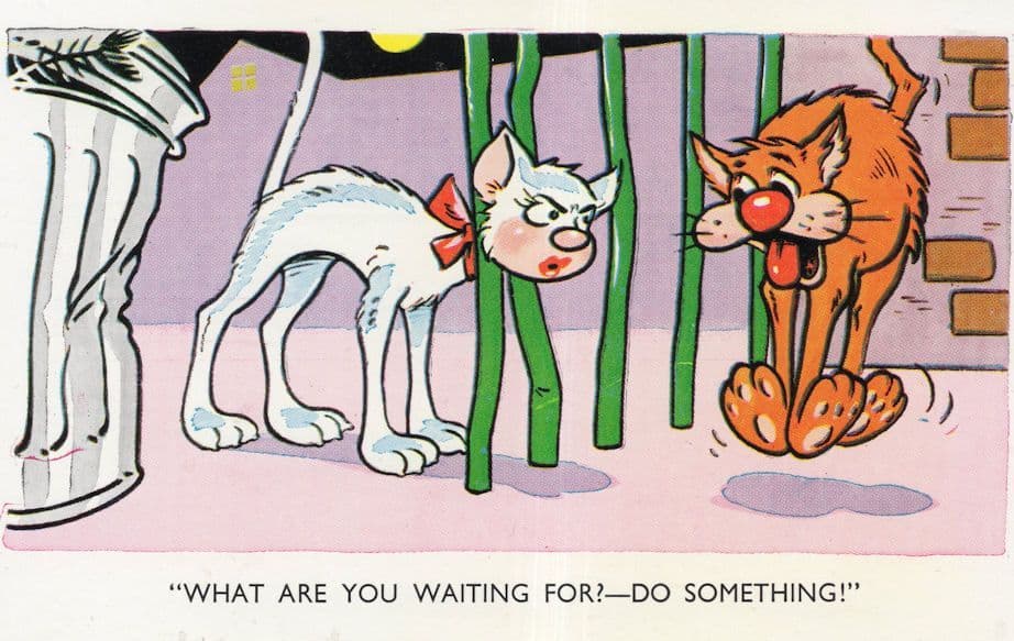 Cat Stuck In Railings Dog Laughing Disaster Comic Animal Postcard