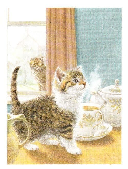 Cat Watching Other Cats With Cup Of Tea Kitchen Kettle Drinking Envy Postcard