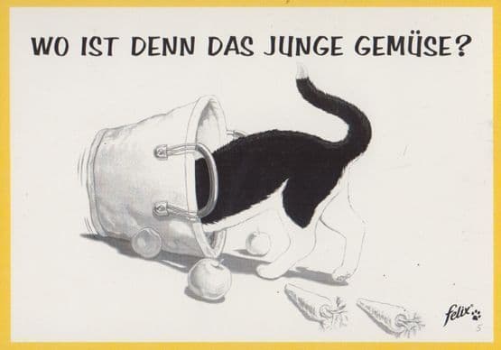 Cat With Head Stuck In Bucket Felix Cats Food German Advertising Postcard