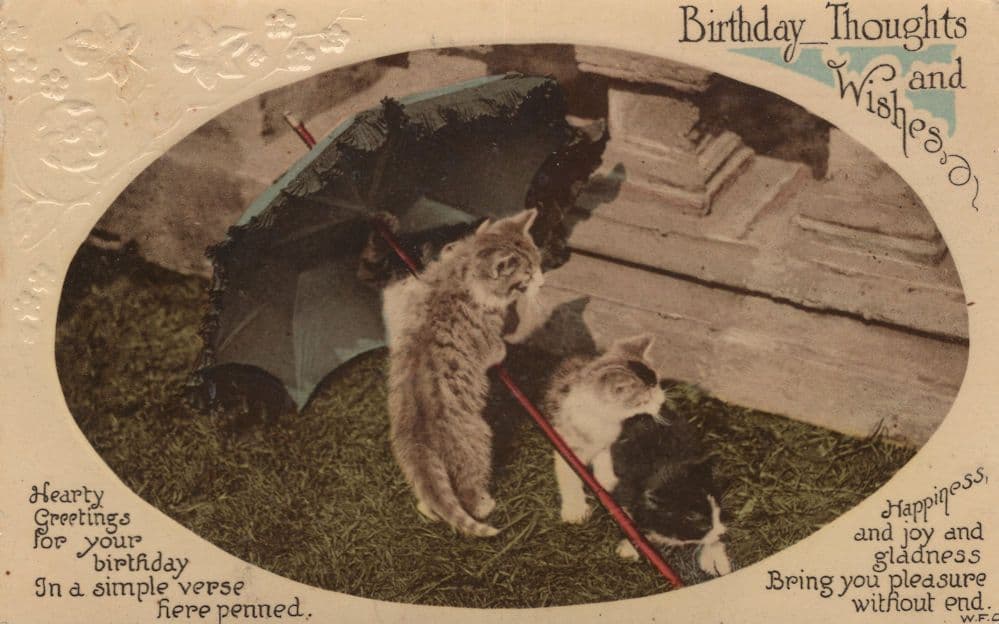 Cats Erecting Umbrella Real Photo Greetings WW1 Postcard