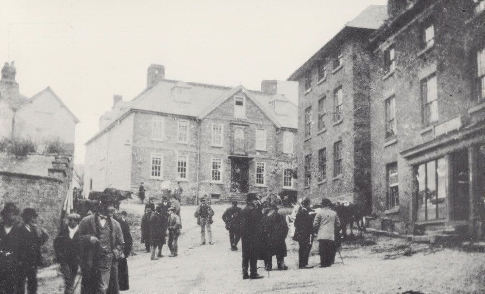 Cattle Being Sold at Shropshire Castle Hotel Postcard