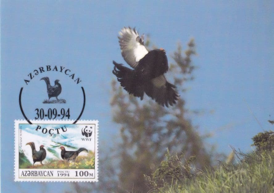 Caucasian Black Grouse Bird Kaukasusbirkhuhn Stamp Rare WWF FDC Postcard