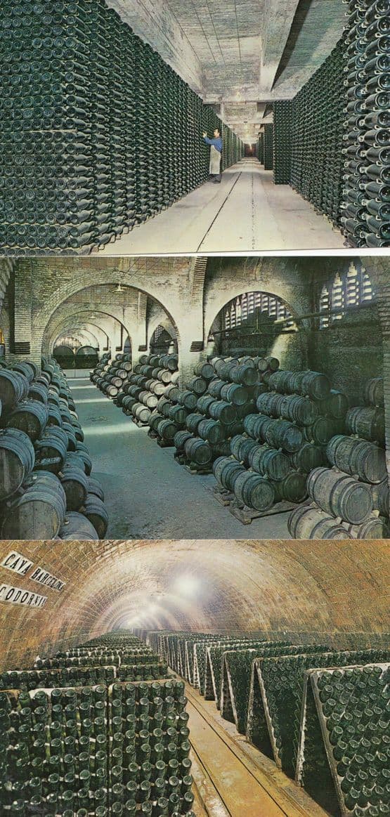Cavas Codorniu Wine Cellar Vault 3x Postcard s
