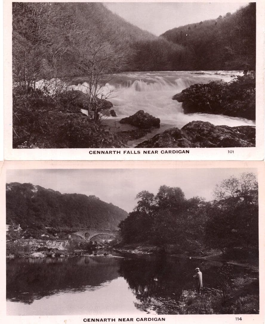 Cennarth Falls Near Cardigan 2x Real Photo Postcard s