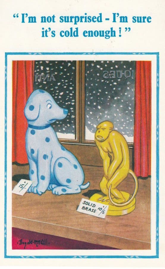 Chain Dog Freezing On WIndow Brass Monkey Shivering Comic Humour Postcard