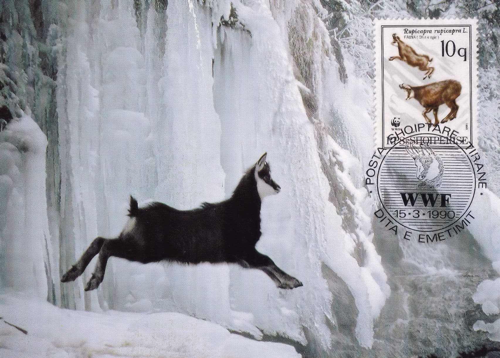 Chamois Deer Albenia WWF Stamp First Day Cover Postcard