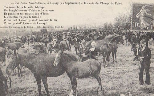 Champ De Foire A Lessay Sainte Croix Horse Horses Rare Repro France Postcard