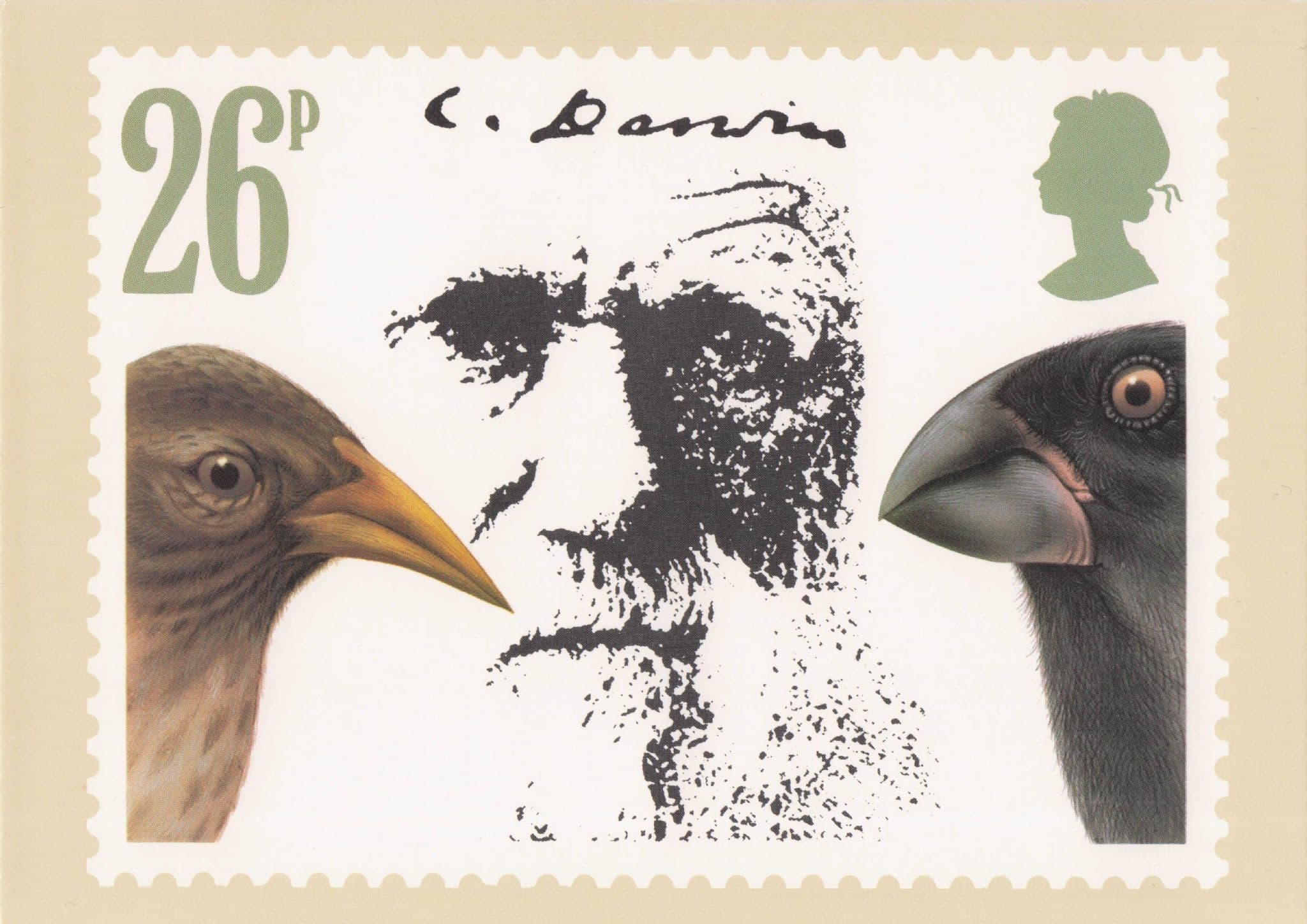 Charles Darwin Prehistoric Scientist Discovery Of Finches Birds Postcard
