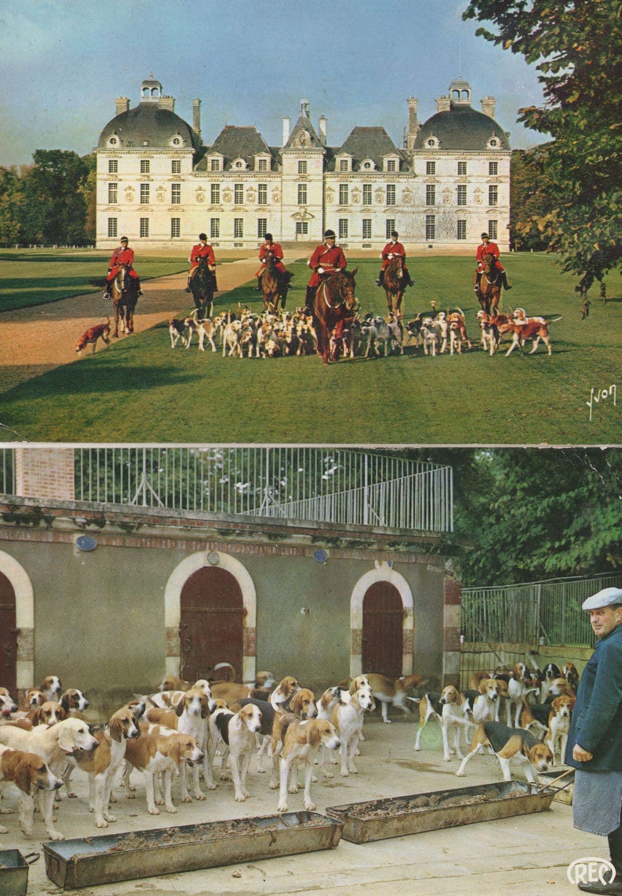 Chateau De Chambord Cheverny Dog Training Fox Hunt 2x Postcard s