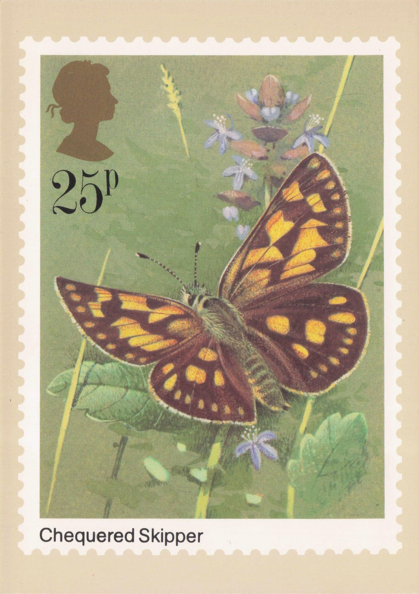 Chequered Skipper Butterfly Royal Mail Stamp Limited Postcard