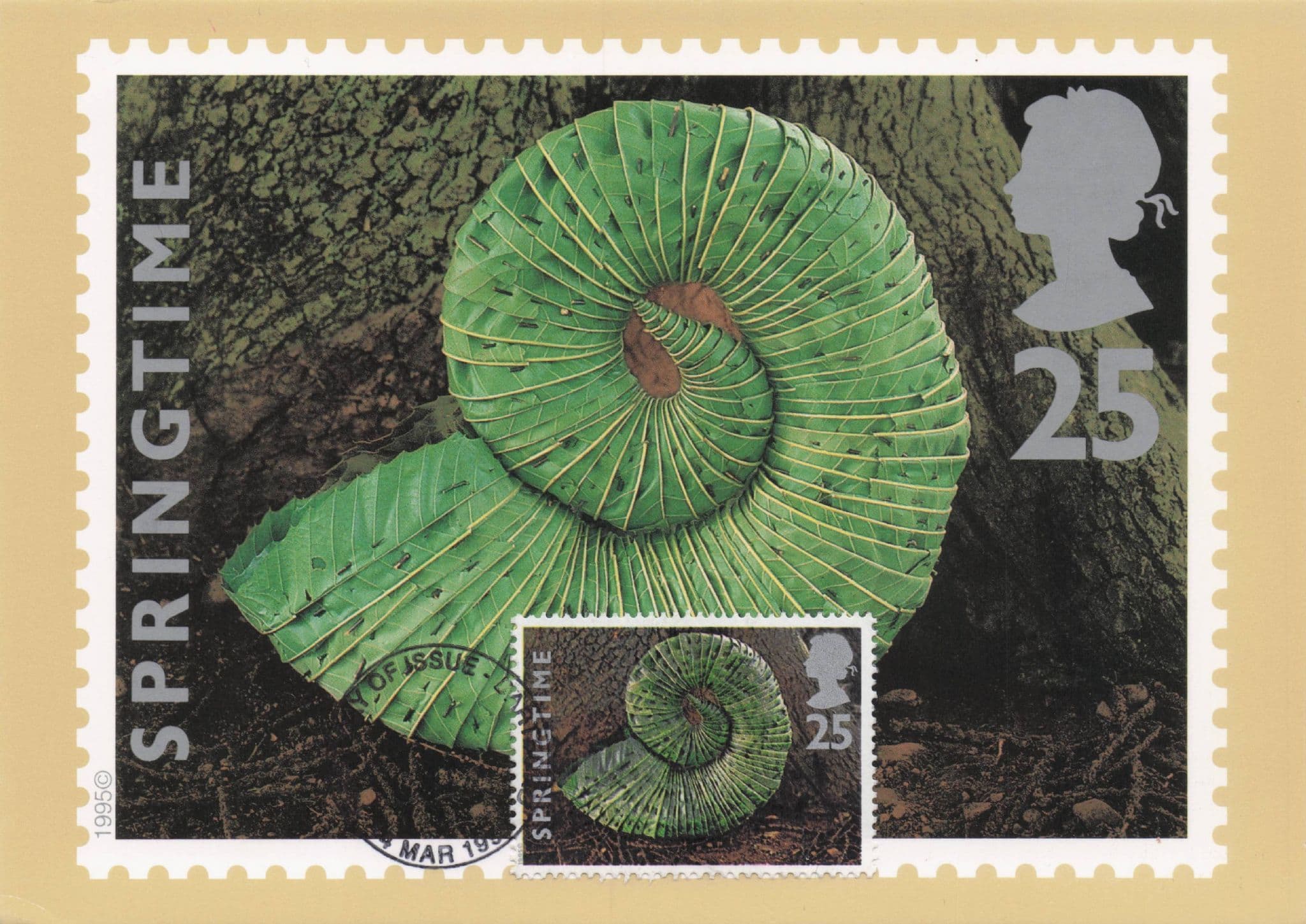 Chestnut Leaves Collection Photo Art First Day Cover Postcard