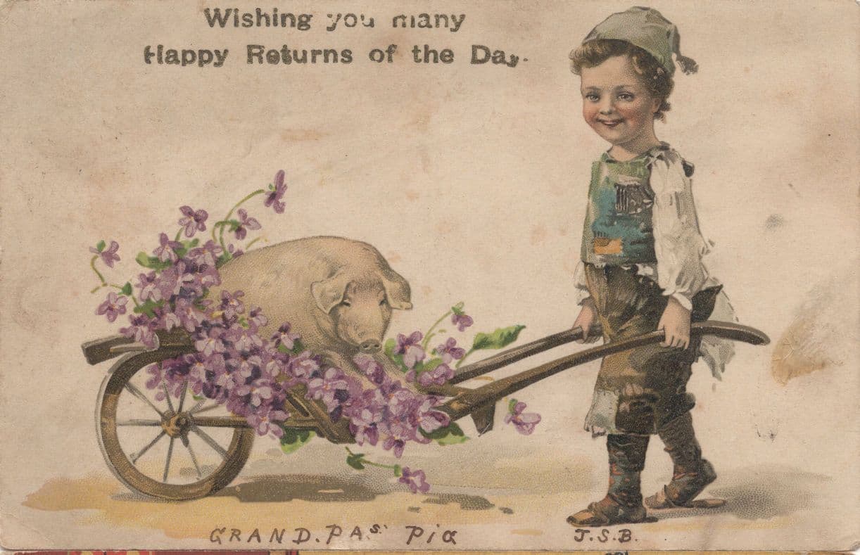 Child Farmer With Grandpa's Pig Antique German Postcard
