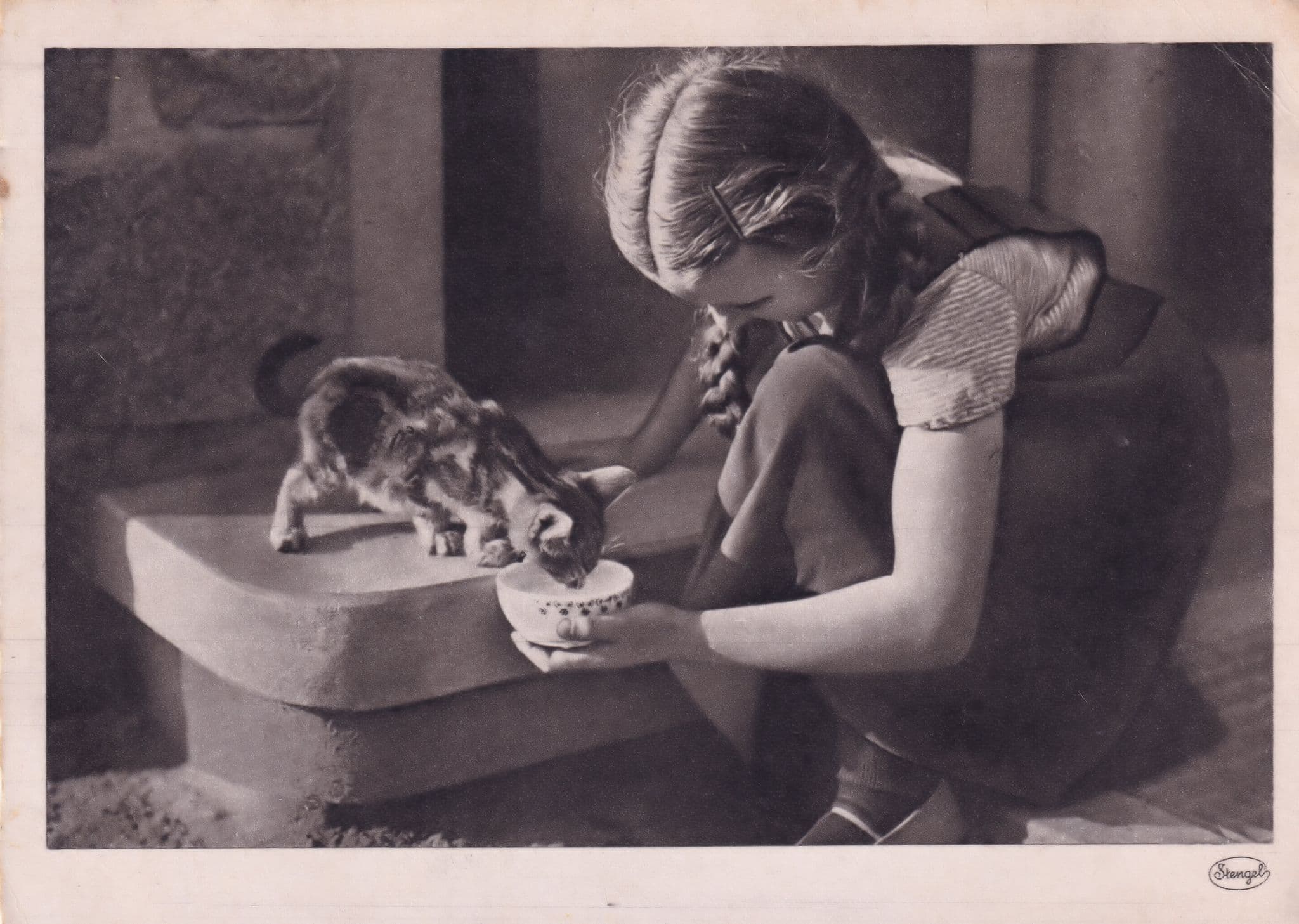Child Feeding A Kitten Baby Cat Vintage Postcard
