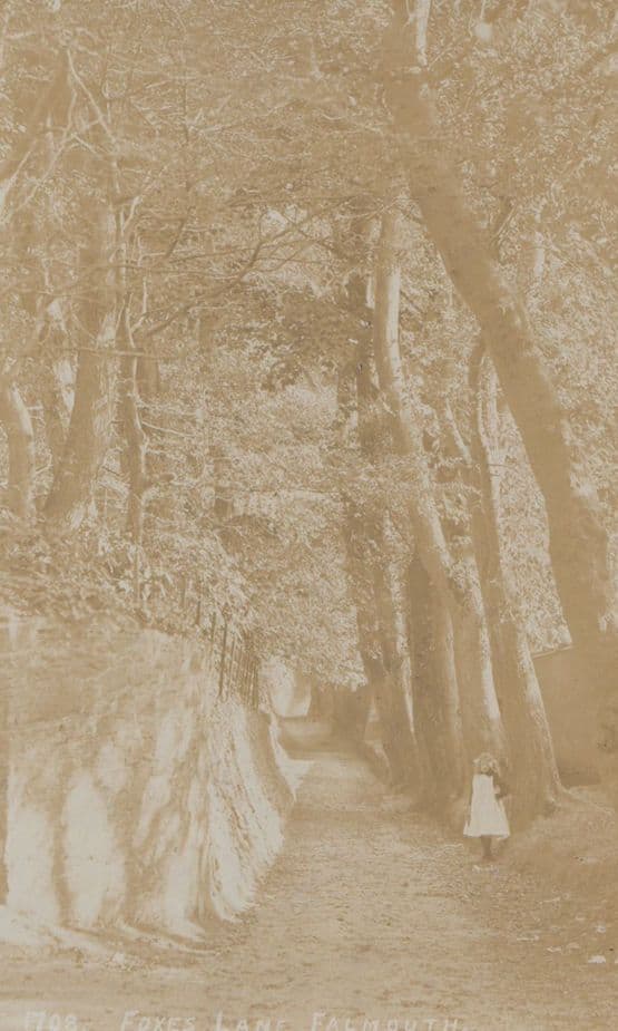 Child In Fox's Lane Foxes Road Falmouth Antique Real Photo Postcard