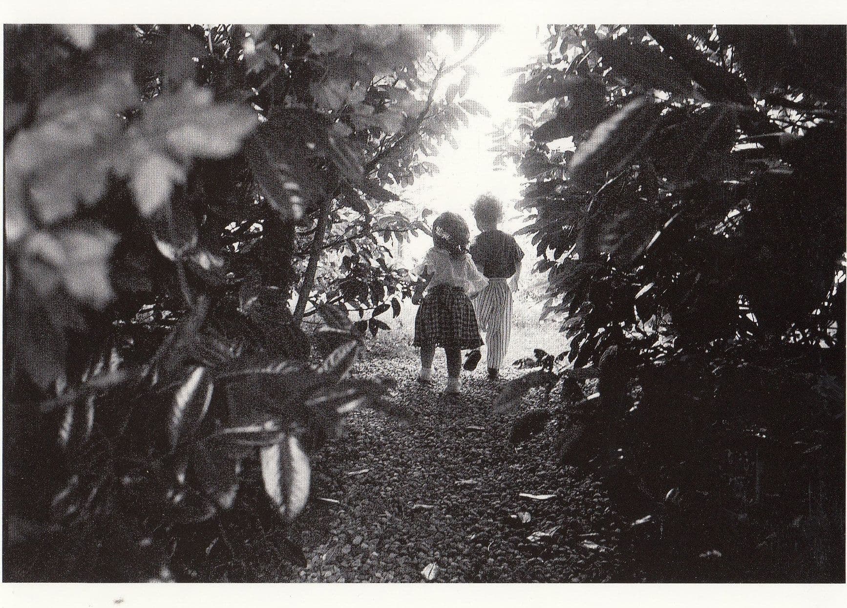 Children In The Garden Of Paradise Armand Deriaz Photo Postcard