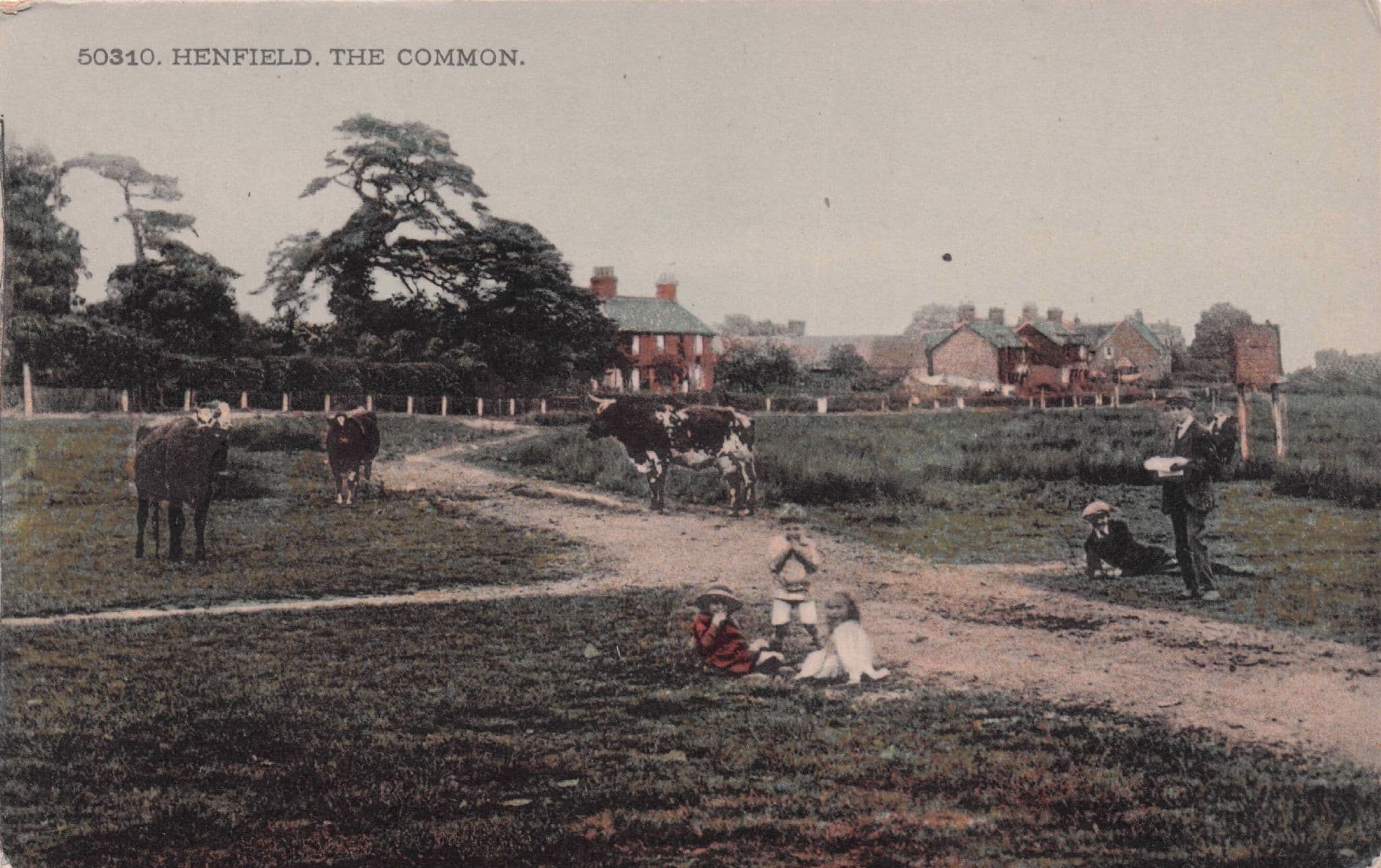 Children Playing At Henfield Common Antique Sussex Postcard