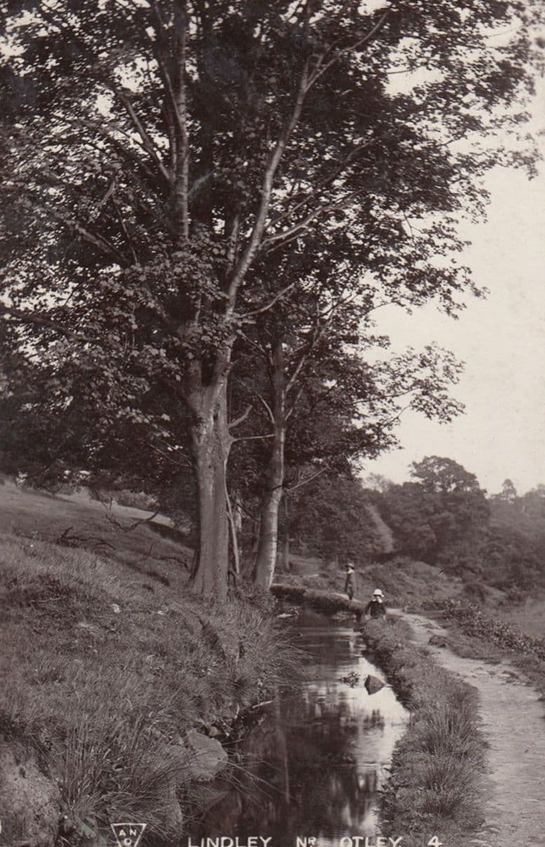 Children With Giant Hats at Lindley Otley Antique Real Photo Postcard