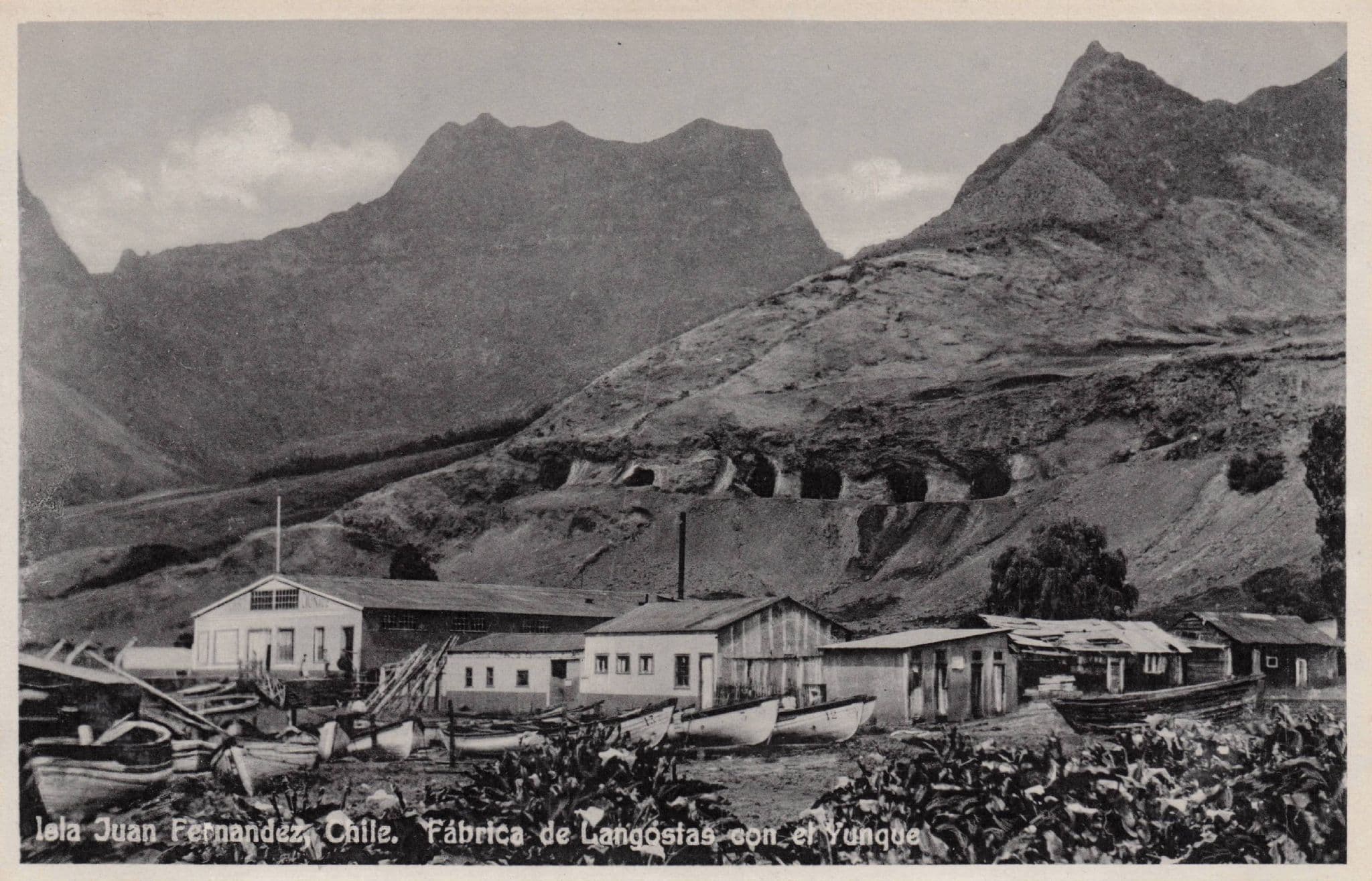Chile Juan Fernandez Fabrica De Langostas Robinson Crusoe's Island Postcard