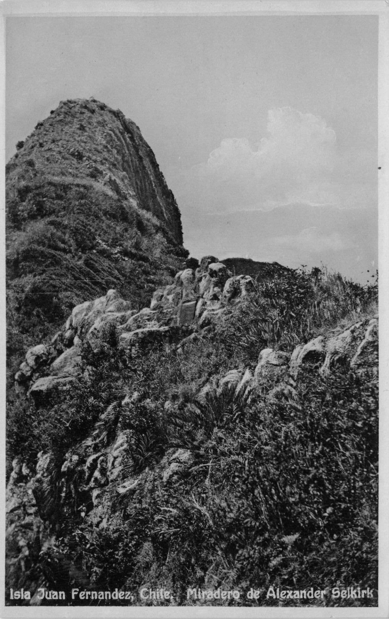 Chile Juan Fernandez Miradero Alexander Selkirk Robinson Crusoe's Island Postcard