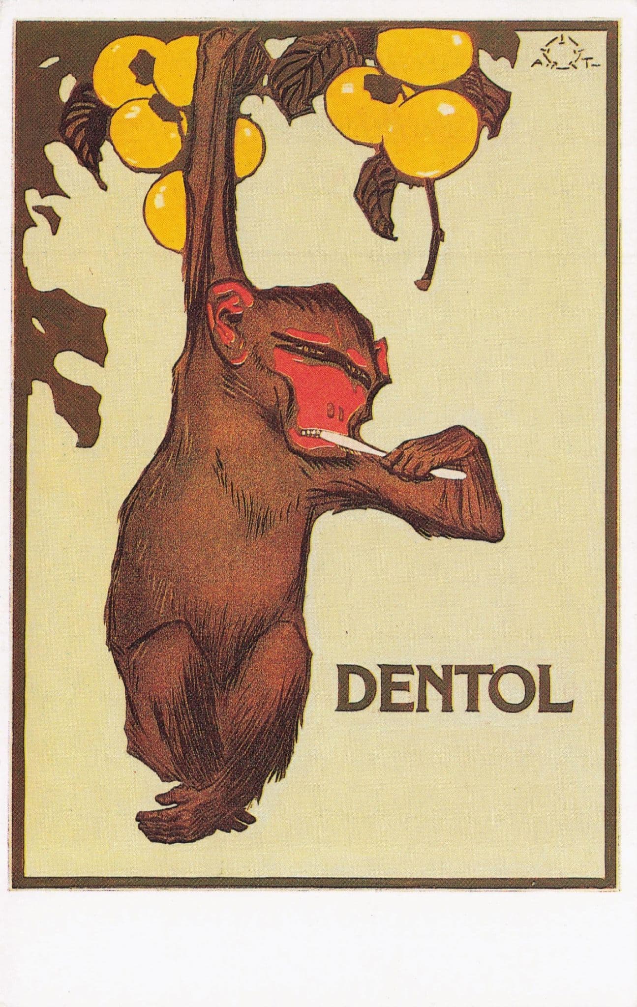 Chimpanzee Monkey Cleaning His Teeth Dentol Toothpaste Advertising Postcard