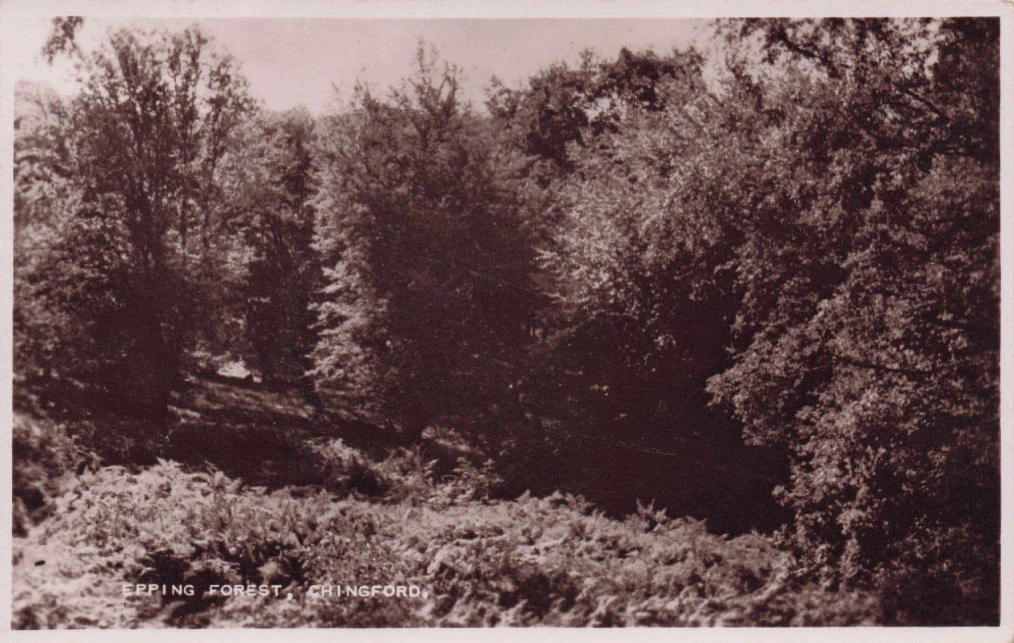 Chingford Epping Forest London Essex Real Photo Old Postcard