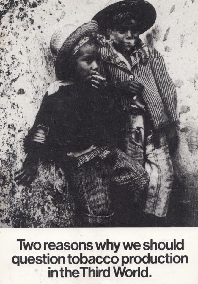 Cigarette Tobacco Production In The Third World Shocking Real Photo Postcard