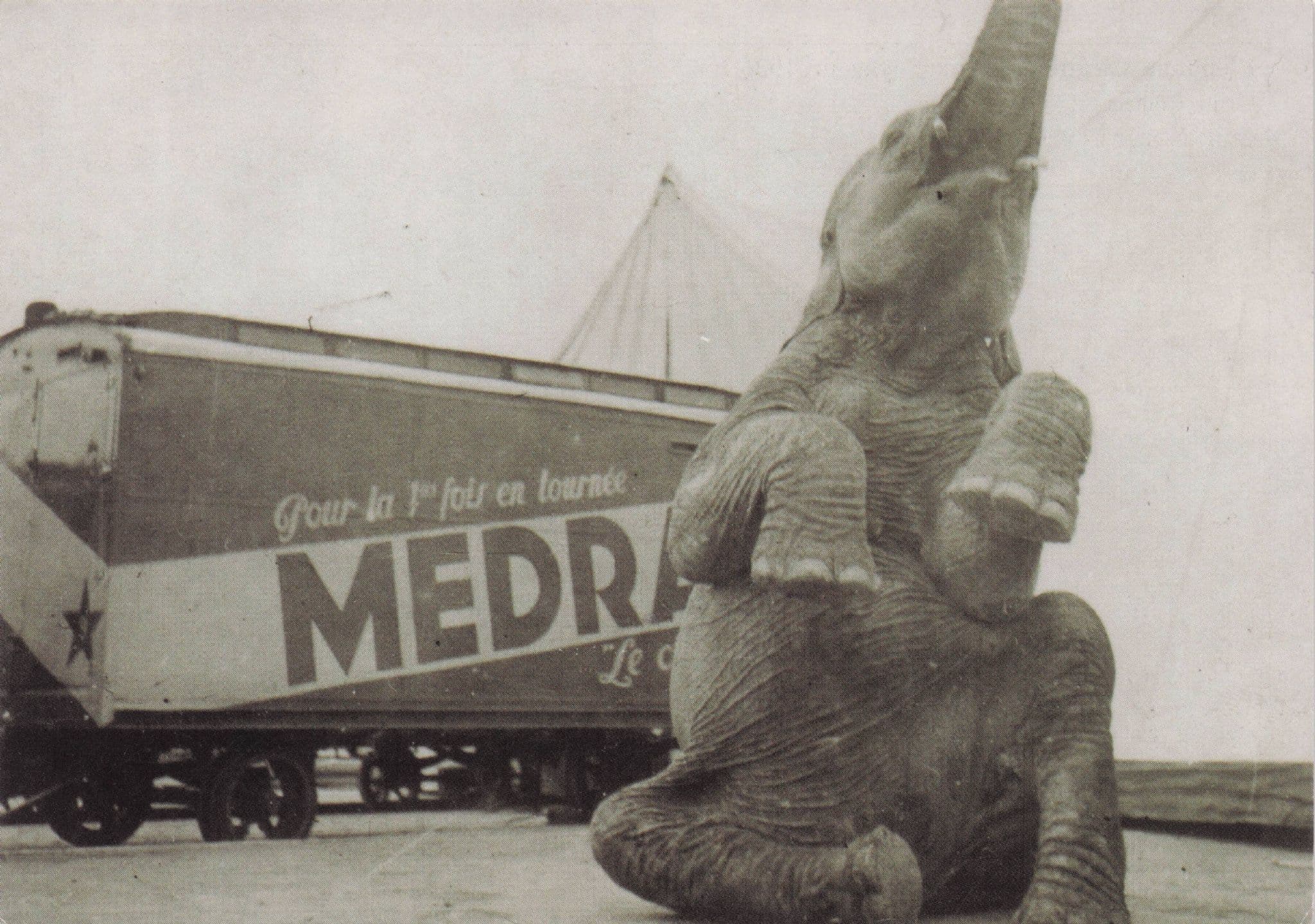 Cirque Medrano Performing Elephant Advertising Transport Circus Postcard
