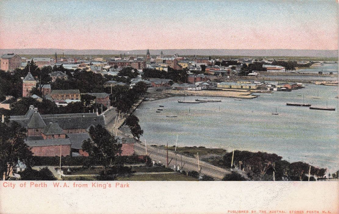 City Of Perth From Kings Park Australia Old Postcard