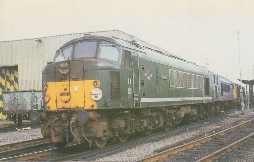 Class 44 D8 Penyghent Train at Toten Railway Depot 1968 Postcard