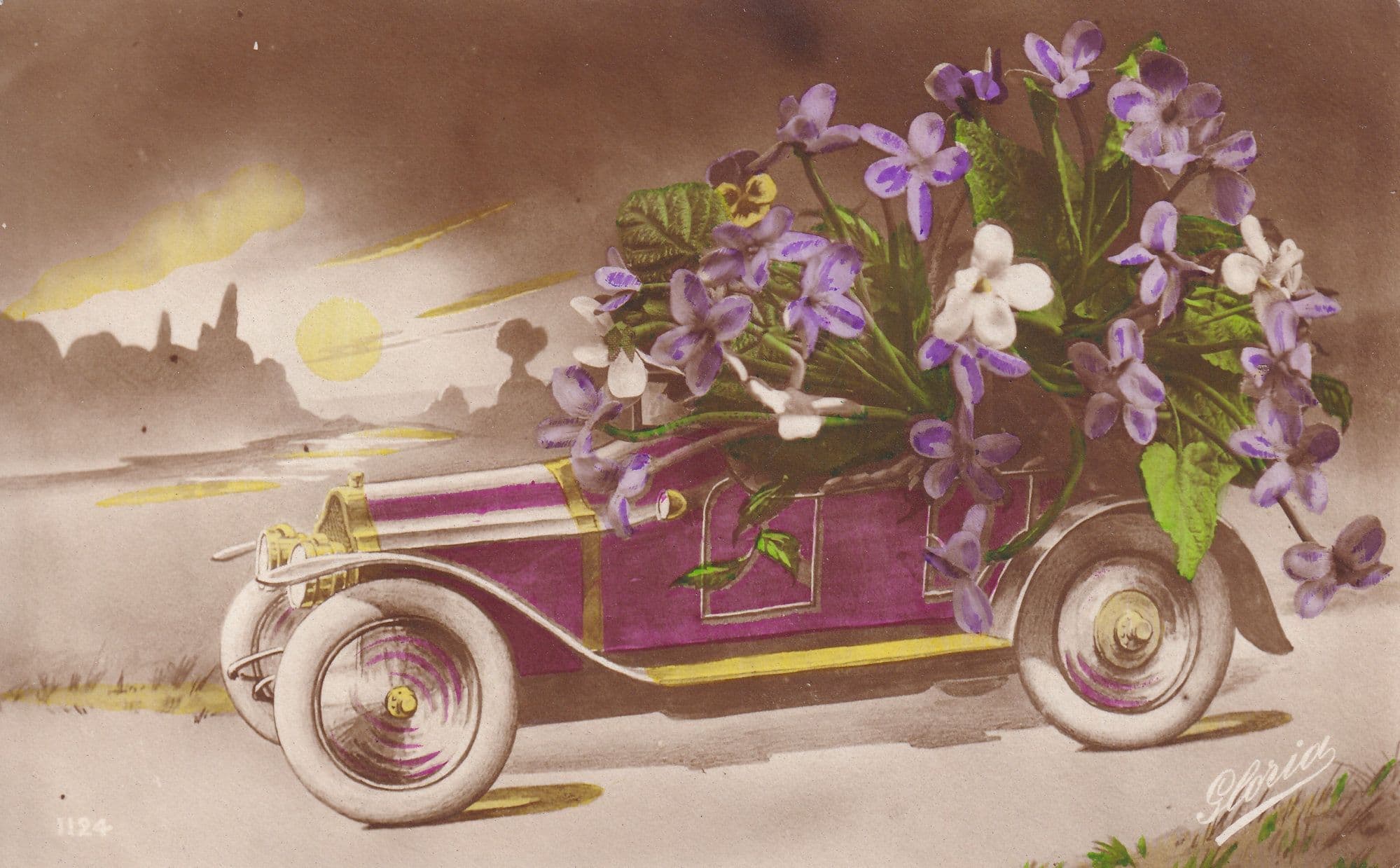 Classic Car With Purple Tulips Growing From It Old Postcard