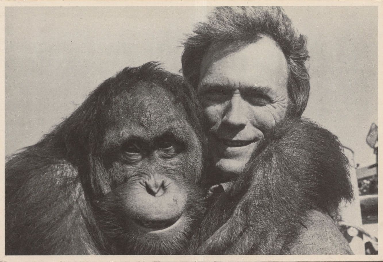 Clint Eastwood Every Which Way But Loose Rare Postcard